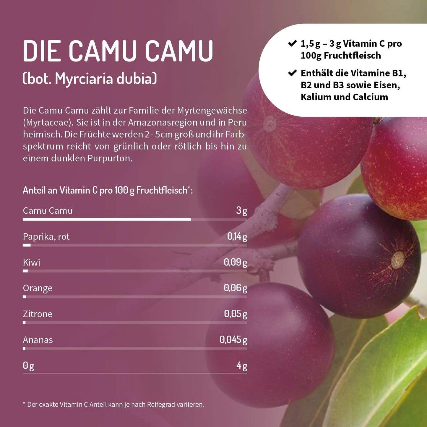 camu camu vitamine b1 b2 b3 myrciaria dubia