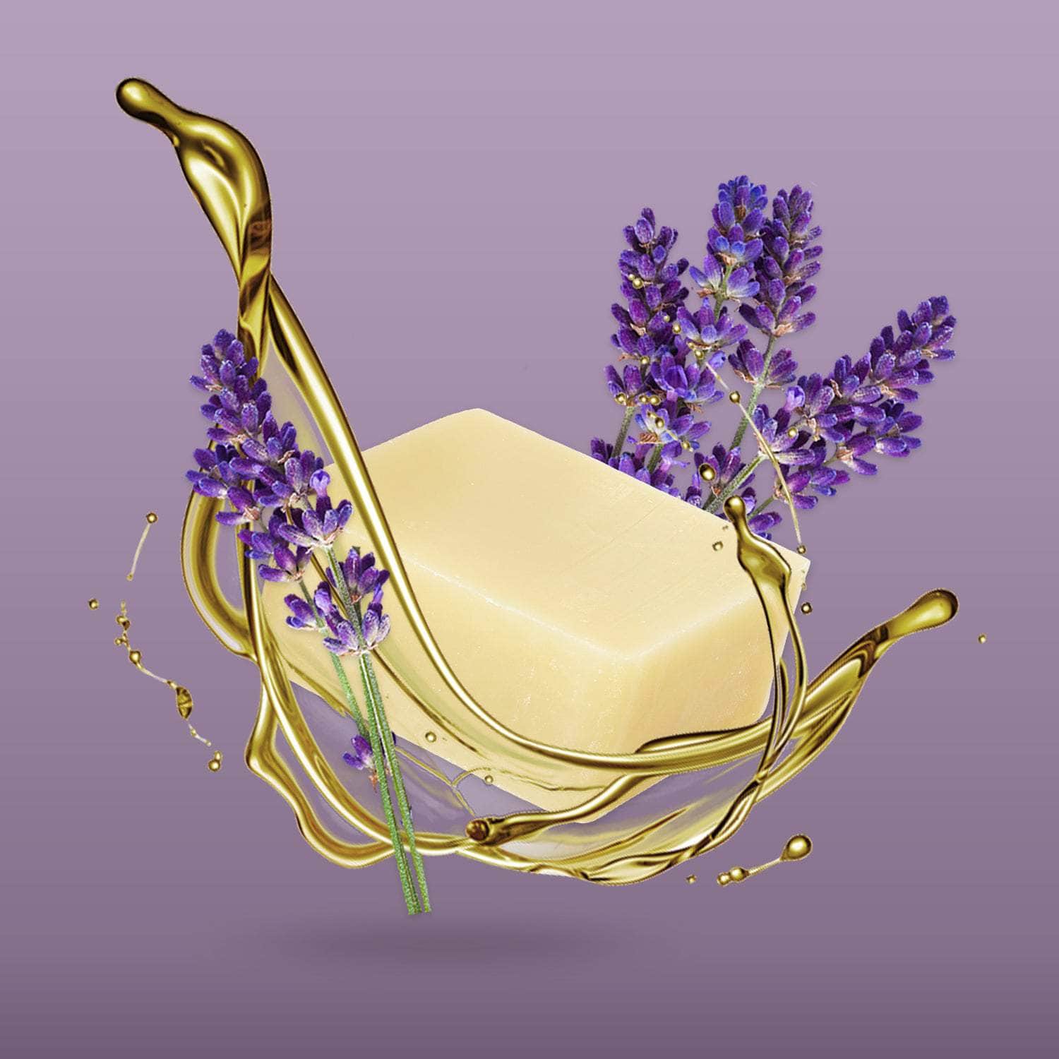 Lavendel Naturseife aus rein Inhaltsstoffen 2er natürlichen Coach – - Set Cecil